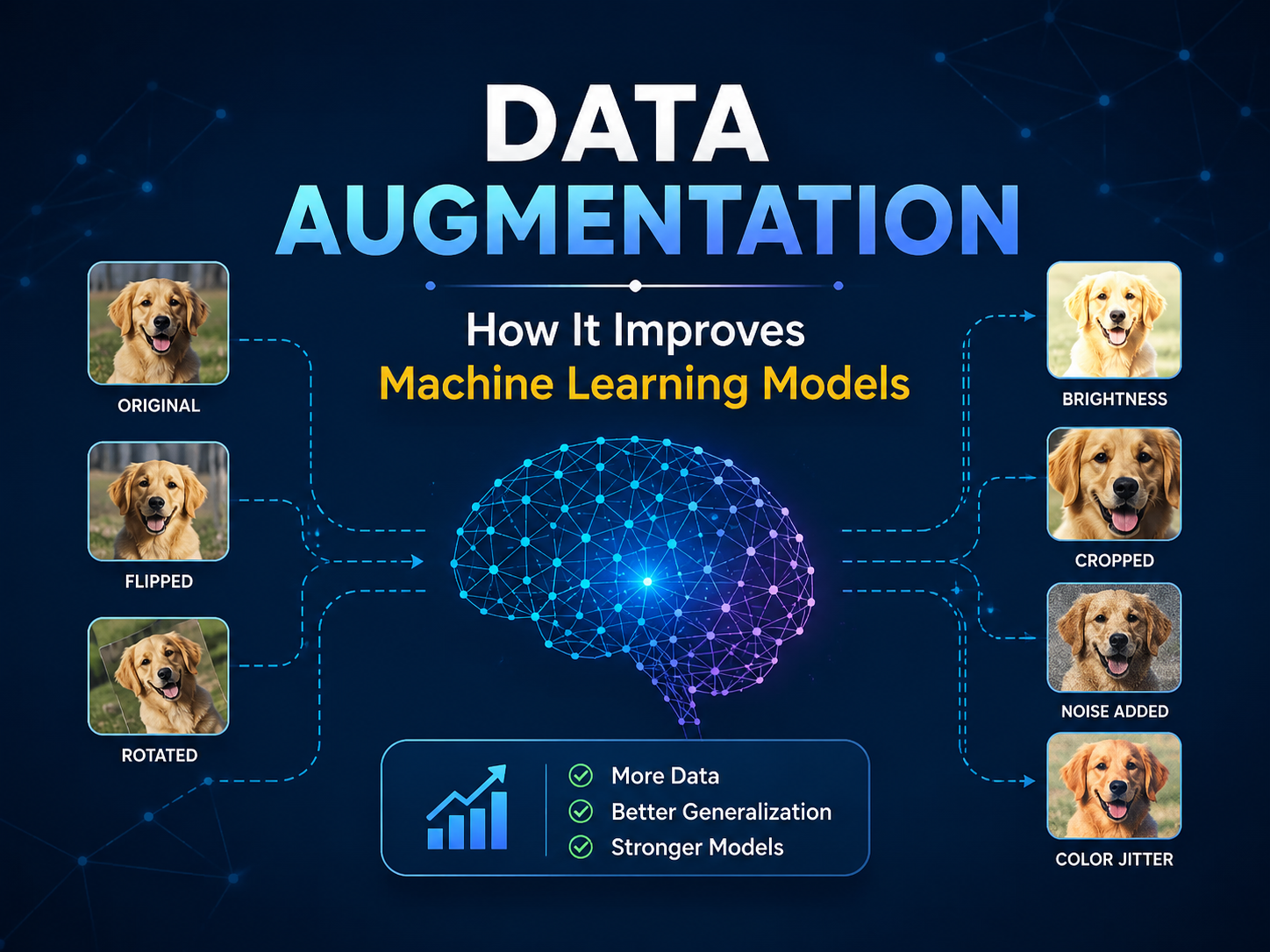 Data Augmentation